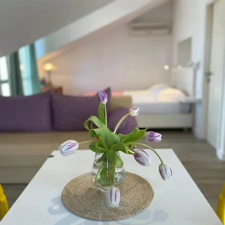 Apartman Carol Cavtat