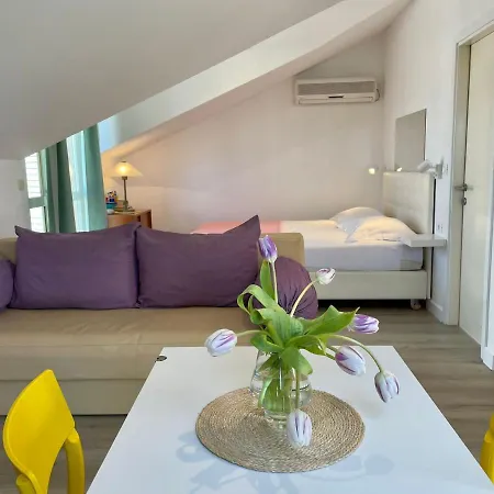 Apartman Carol *
